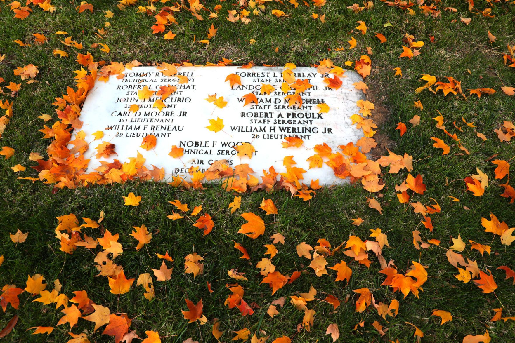 Season of color bursts into fall